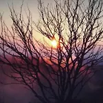 Location Pied Des Pistes