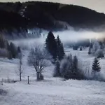 Location Pied Des Pistes *