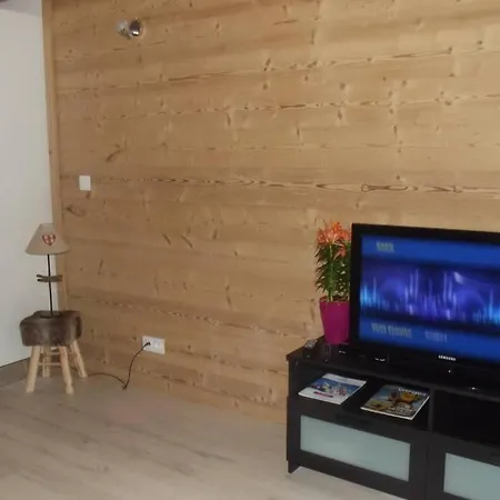 Location Pied Des Pistes Apartment La Bresse