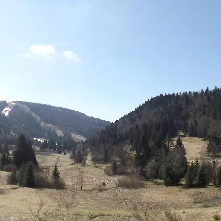 Location Pied Des Pistes * La Bresse