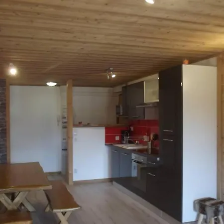 Appartement Location Pied Des Pistes La Bresse