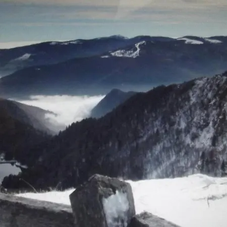 Location Pied Des Pistes *