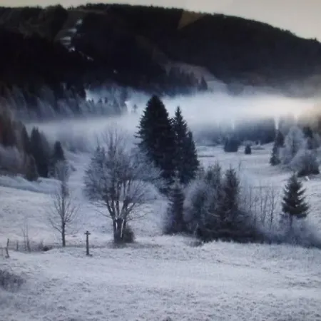 Location Pied Des Pistes *