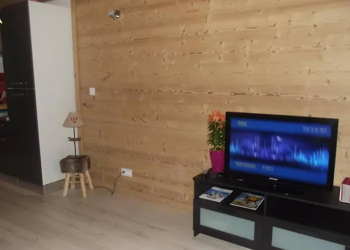 Location Pied Des Pistes Appartement La Bresse