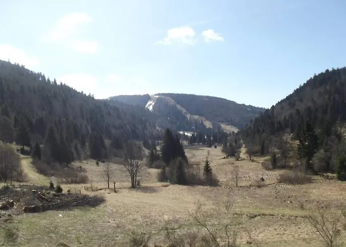 Appartement Location Pied Des Pistes