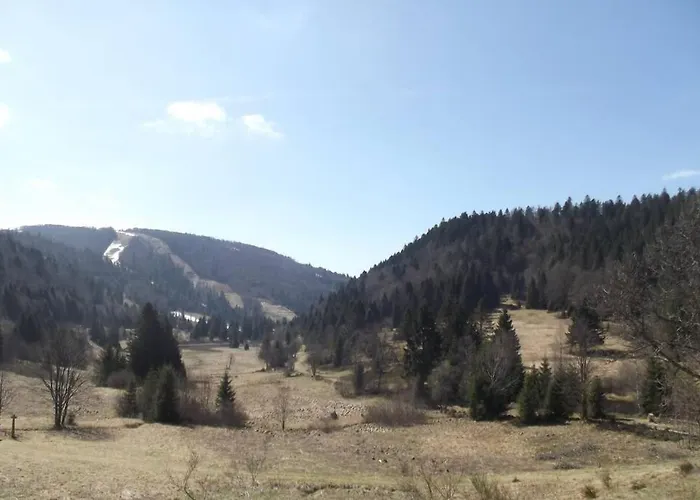 Location Pied Des Pistes * La Bresse