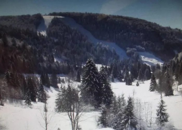 Location Pied Des Pistes La Bresse