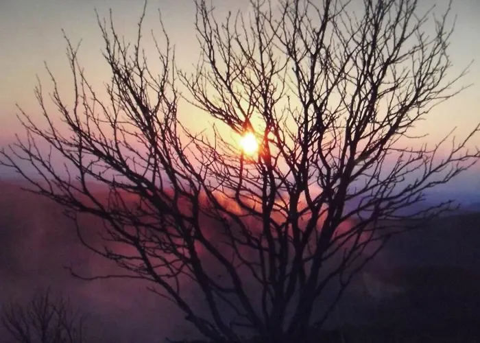 Location Pied Des Pistes