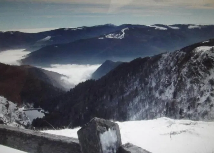 Location Pied Des Pistes *