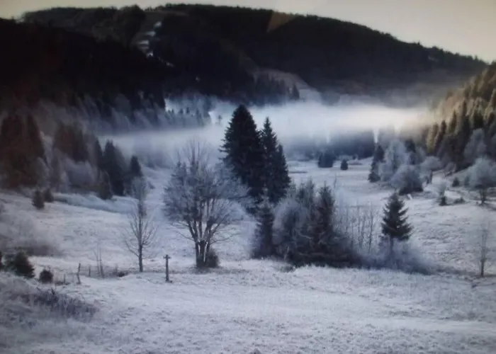 Location Pied Des Pistes *